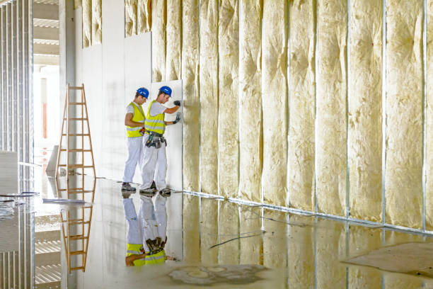 Garage Insulation Installation in Gore, OK